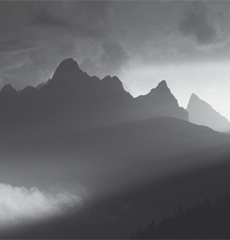 Home Page Image
